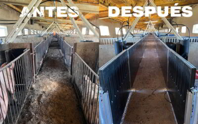 Reforma de una granja porcina