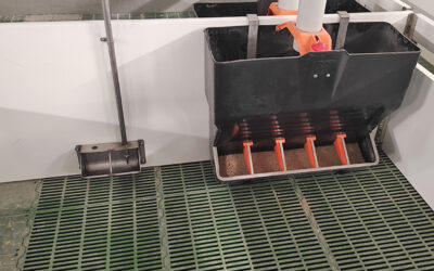 ¿Conoces todos los detalles sobre bebederos para cerdos?