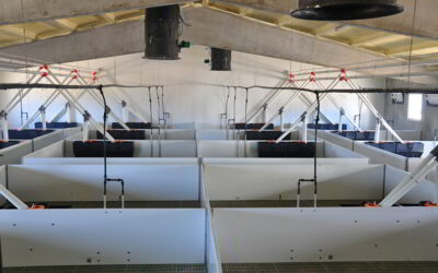 Cómo tener bien ventilada una granja