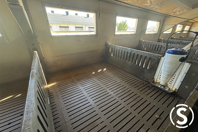 corral de cerdos de engorde recien limpiado con un robot de lavado Resultado final del lavado de una granja de forma automática gracias a un robot Evo Cleaner.